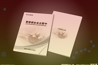 洛阳钼业：聘任高级管理人员